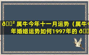 🌲 属牛今年十一月运势（属牛今年婚姻运势如何1997年的 🕸 ）